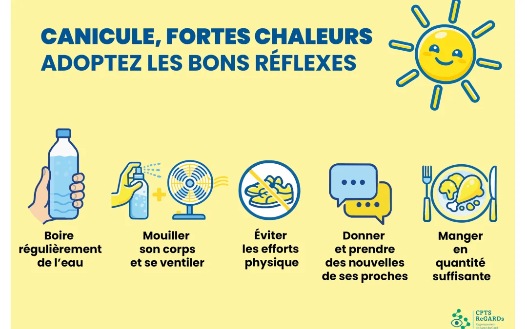 Canicule, les bons réflexes